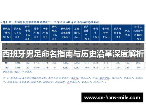 西班牙男足命名指南与历史沿革深度解析